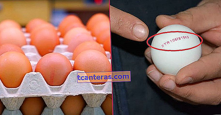 Więc wiesz, co jesz: co oznaczają kody na jajku?