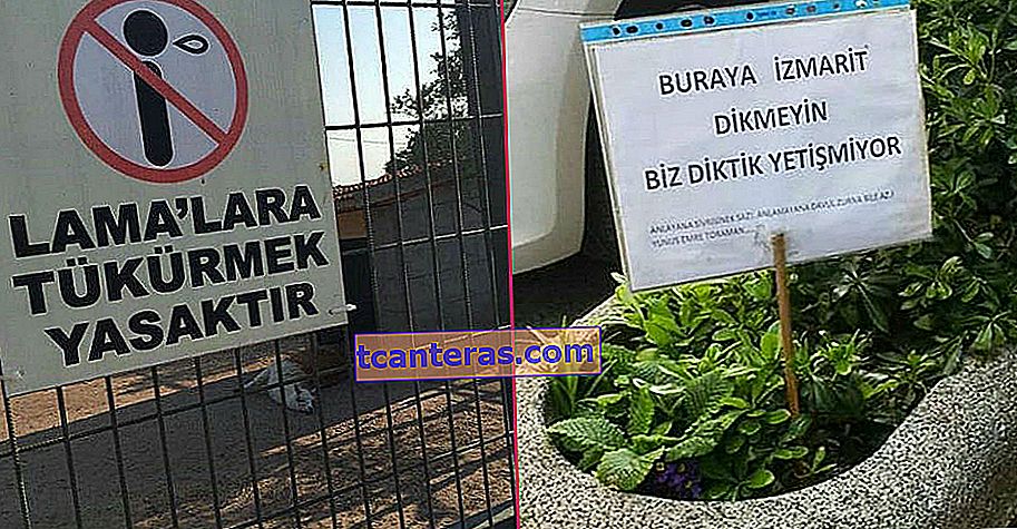 Дивина в 21 веселому сугестивно забороненому Тільки ви можете бачити в Туреччині