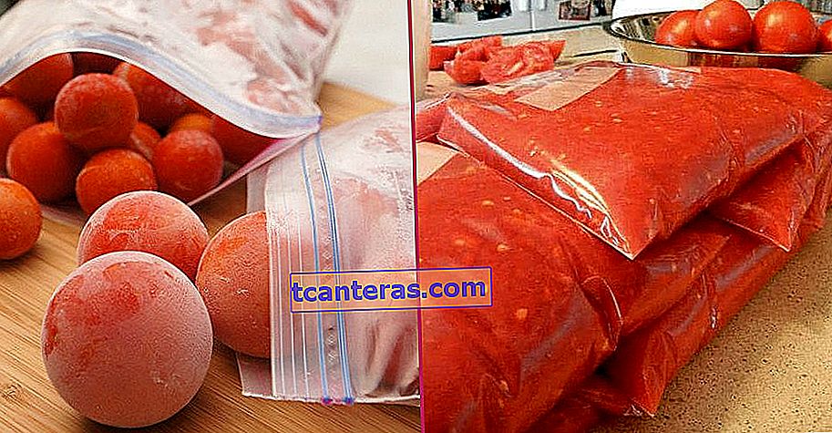 Usando tres métodos diferentes: ¿Cómo almacenar fácilmente tomates frescos en el congelador?