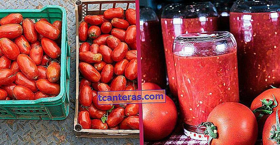 Duradero sin moho: ¿Cómo hacer salsa de tomate de invierno?