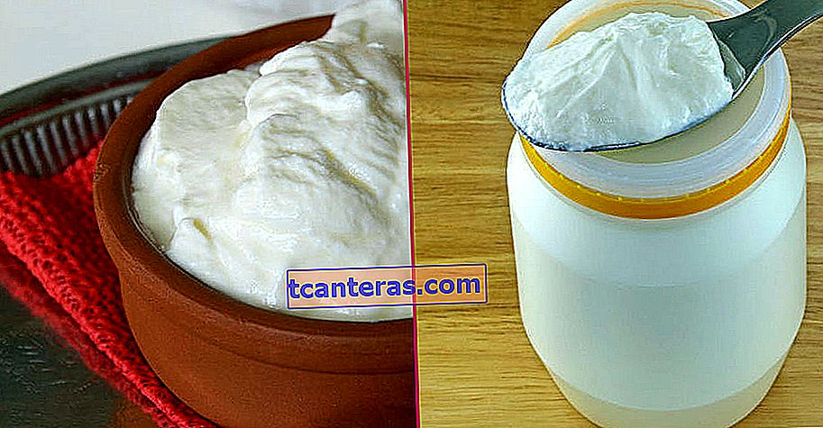 Para los yogures más naturales que mantienen su consistencia: hacer levadura de yogur en casa