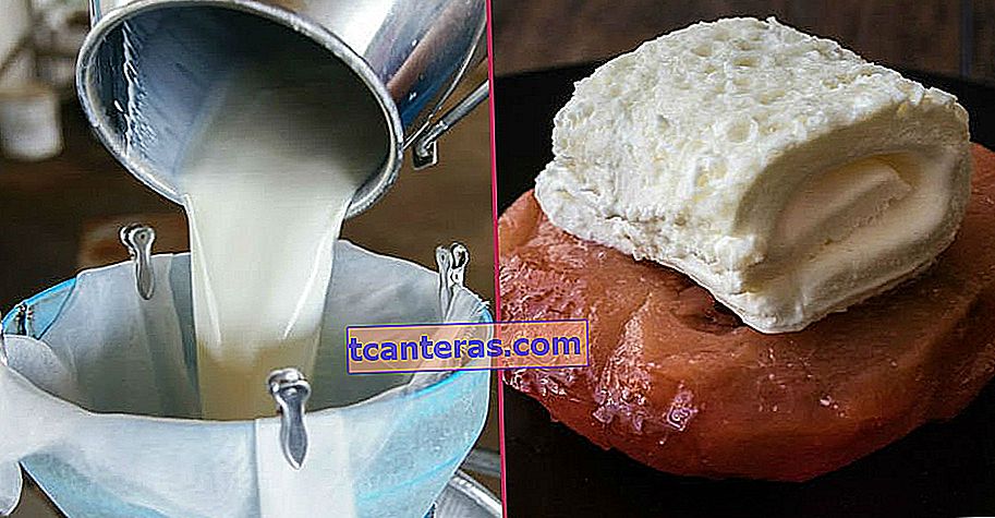 От масла до сливок, от йогурта до сыроварения: как используется сырое молоко?